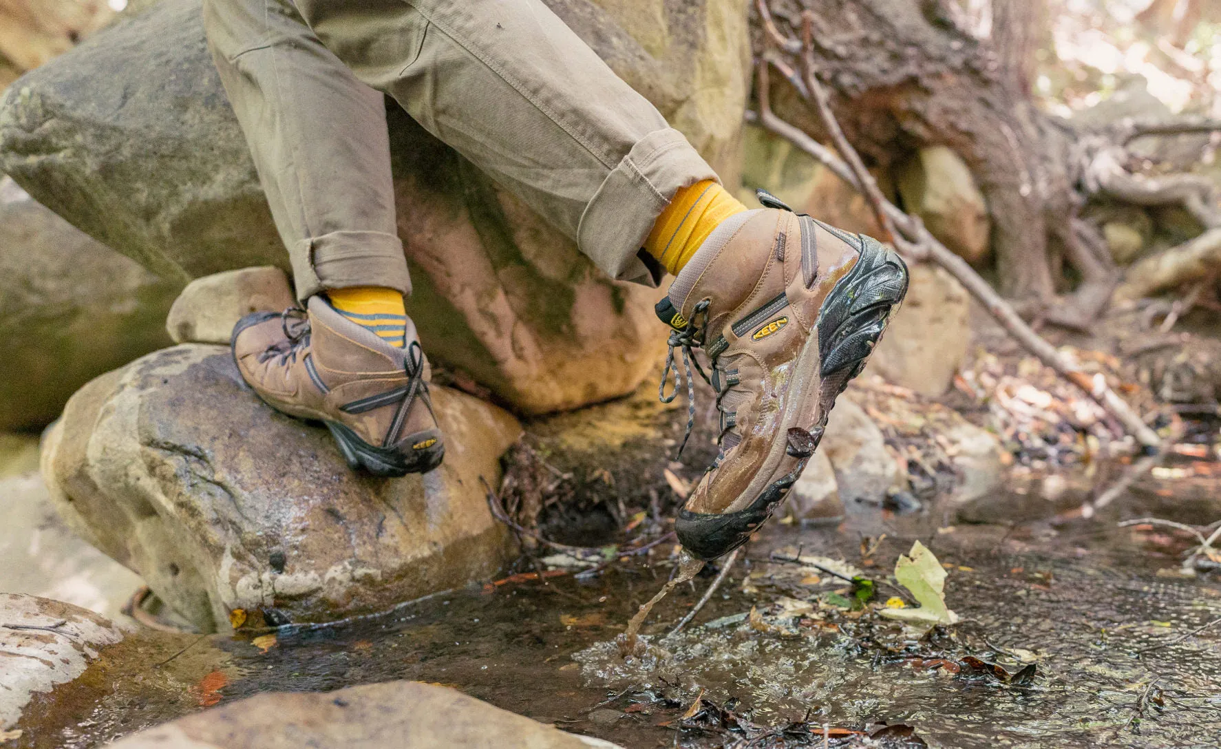 Men's Targhee II Waterproof Mid Wide  |  Shitake/Brindle