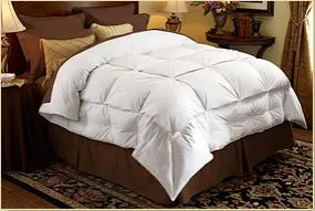 Pacific Coast Feather White Goose Down Stratus Down Comforter